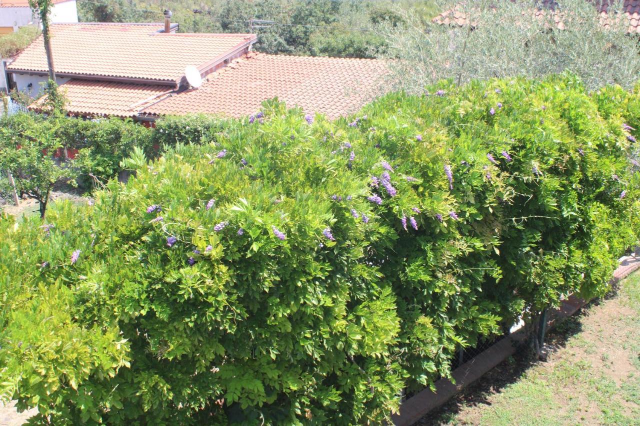 Villa Sicilia Apartment CTA Eksteriør billede